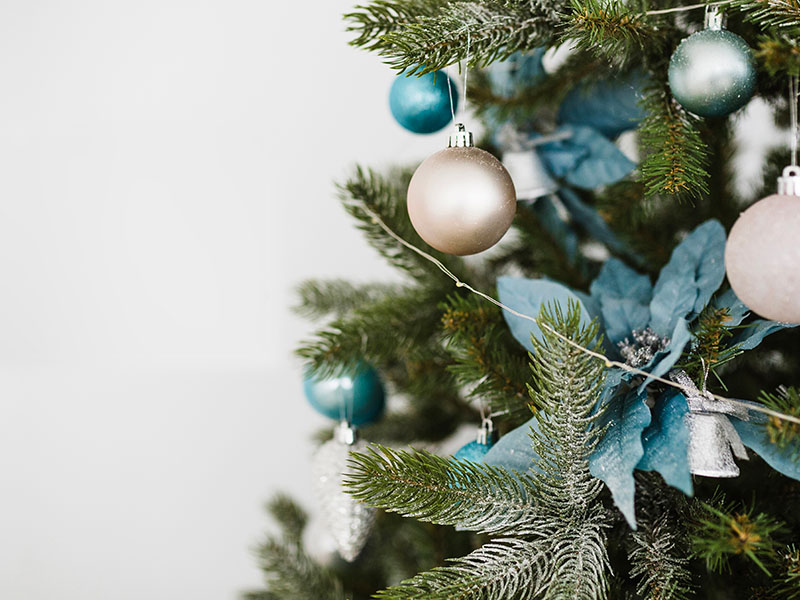 ¿Dónde podemos llevar el árbol de Navidad cuando terminen las fiestas?
