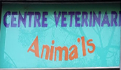 Centre Veterinari Anima'ls